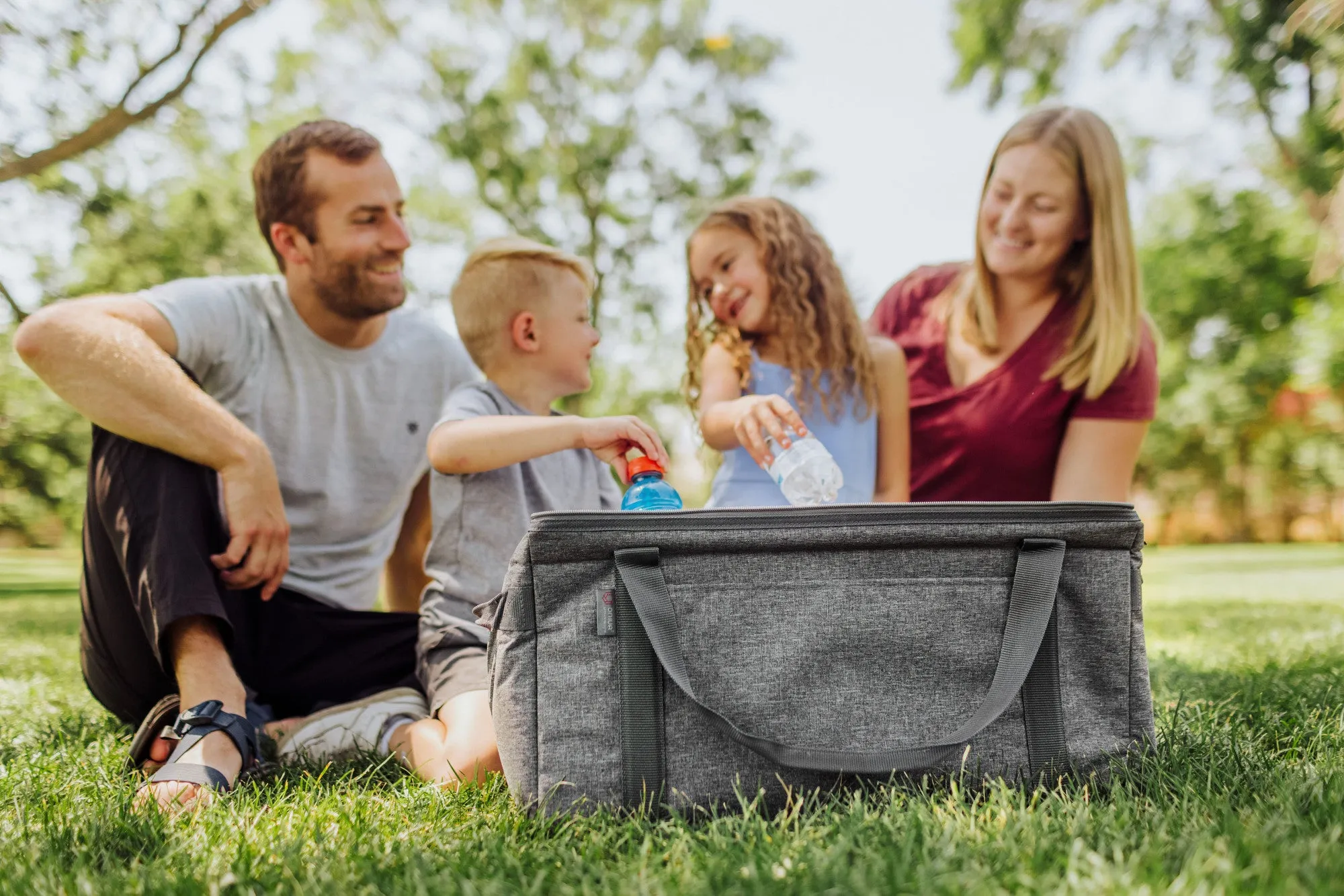 Baltimore Ravens - 64 Can Collapsible Cooler