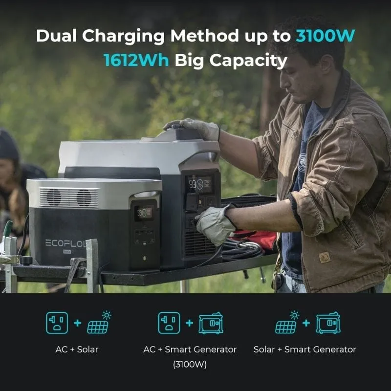 EcoFlow DELTA Max 1600   2 x 110W Solar Panels