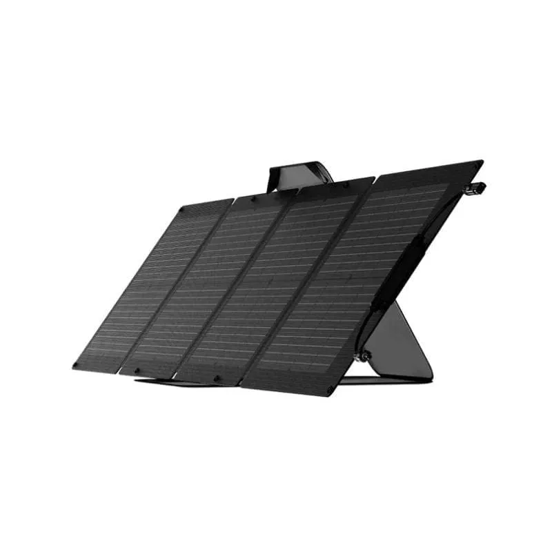 EcoFlow DELTA Max 1600   2 x 110W Solar Panels