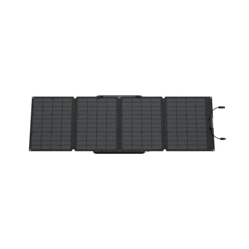 EcoFlow DELTA Max 1600   2 x 110W Solar Panels